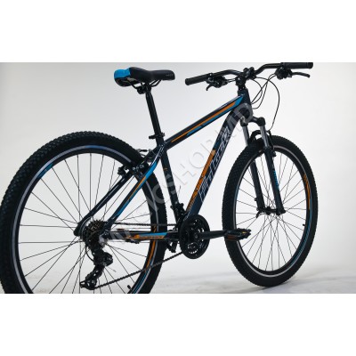 Bicicleta Pluton 29